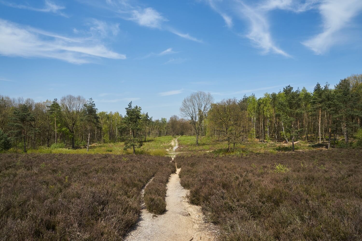 Wandelen in Utrecht - The Innsider - Inntel Hotels